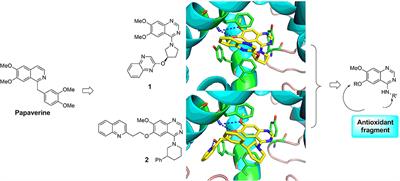 Structure-Based Design, Synthesis, Biological Evaluation, and Molecular Docking of Novel PDE10 Inhibitors With Antioxidant Activities